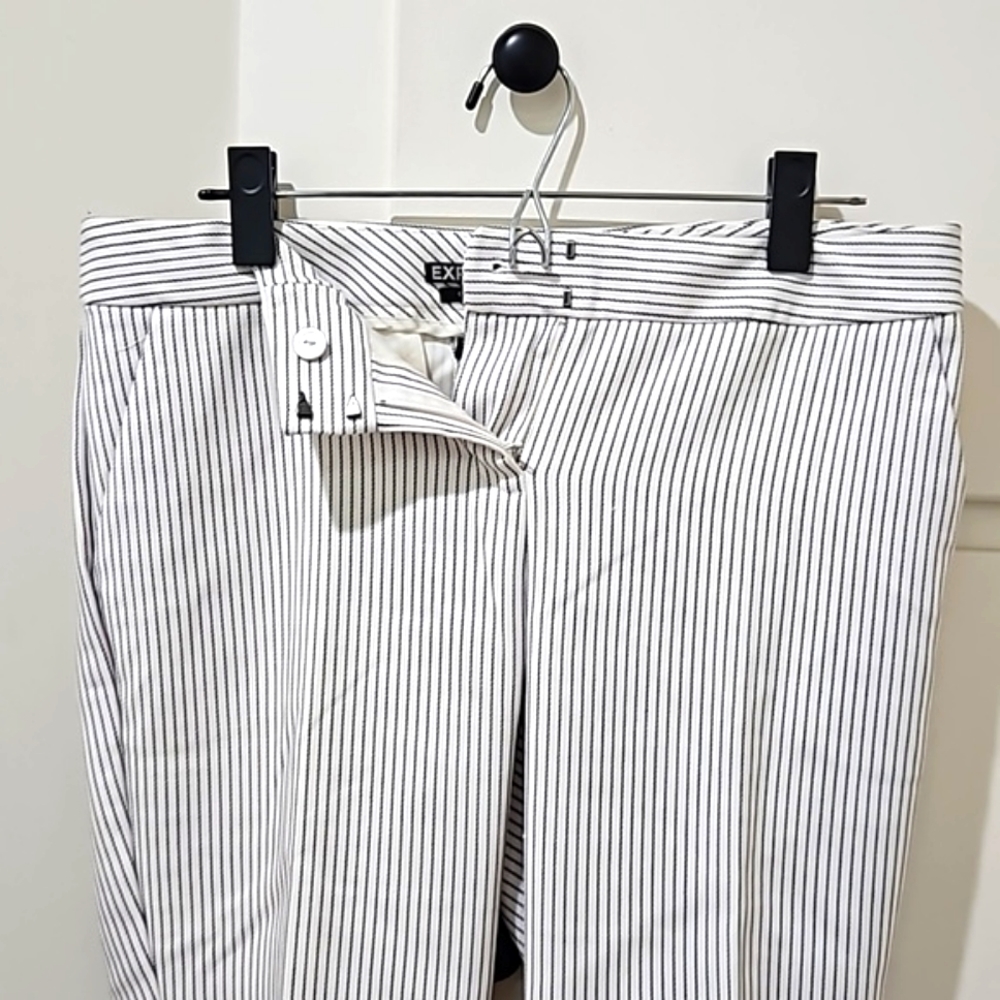 Express Columnist Ankle Pant